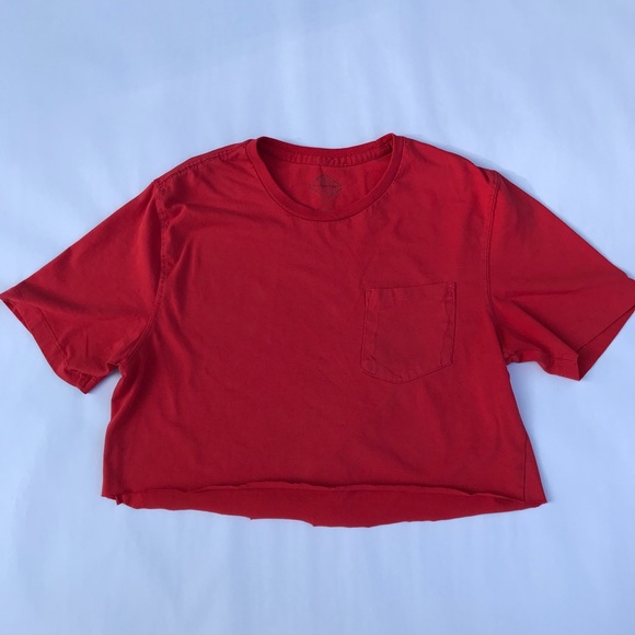 St Johns Bay Red Crop Top - Picture 4 of 6